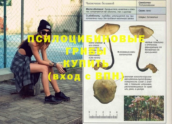 мет Алексеевка