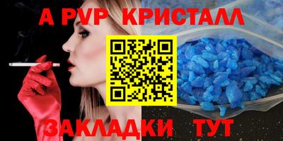 прущие грибы Тула