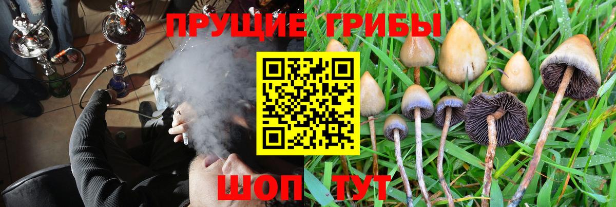 Подольск  Псилоцибиновые грибы Psilocybine cubensis  Псилоцибиновые грибы MAGIC MUSHROOMS  Вход с VPN 