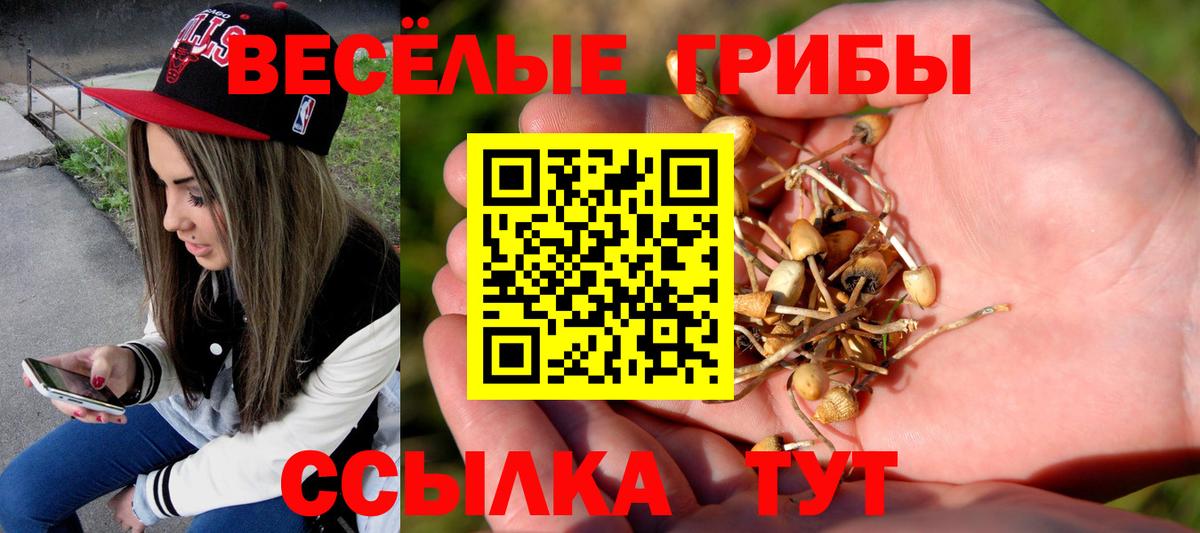 Галлюциногенные грибы мухоморы Подольск